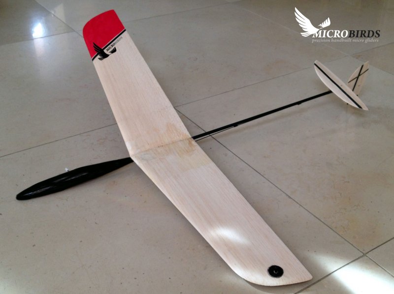 DLG Glider Plans