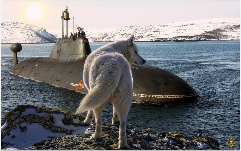 Подлодка серый волк немецкая
