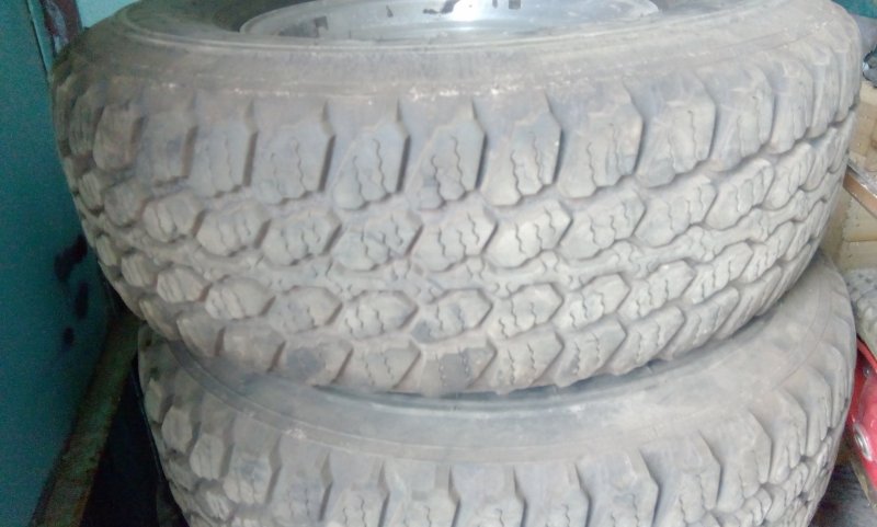 Резина медведь 31х10.50 r15