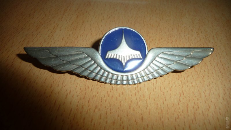 Значок летчика