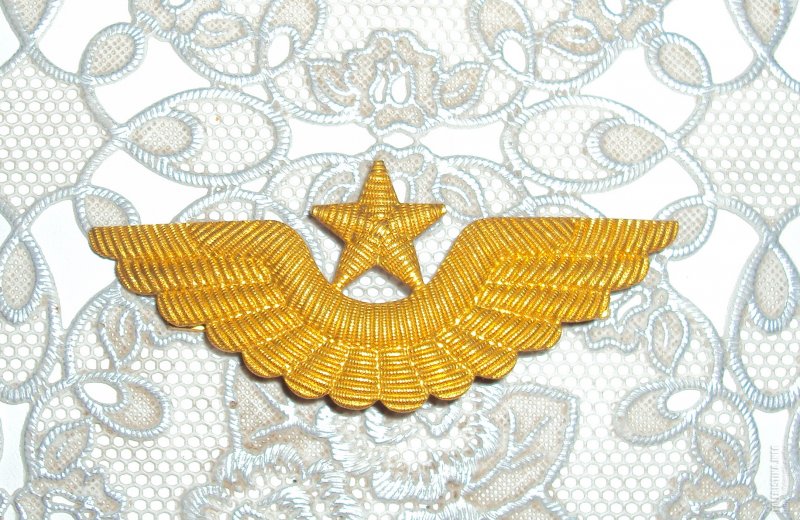 Быковский авиаремонтный завод 402 га