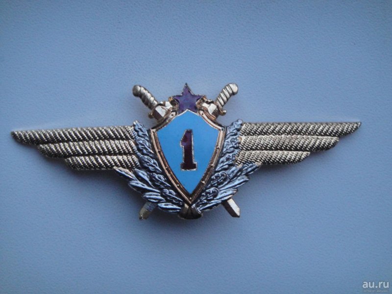 Кокарда летчика