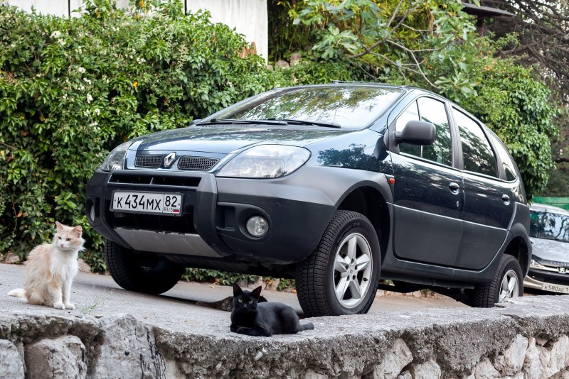 Renault Scenic rx4