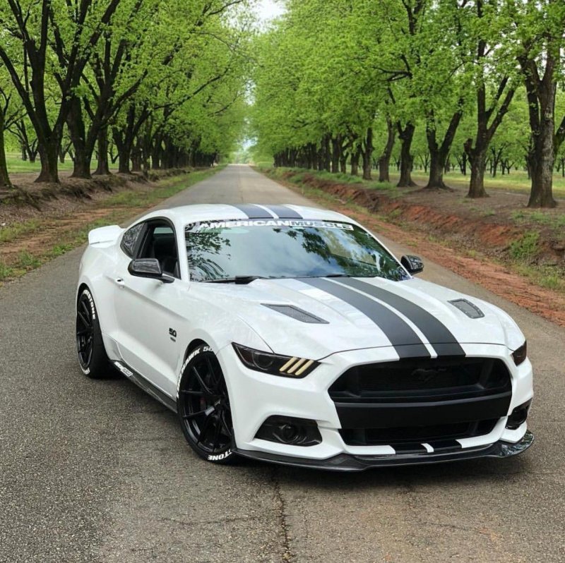 Ford Mustang Shelby 2018
