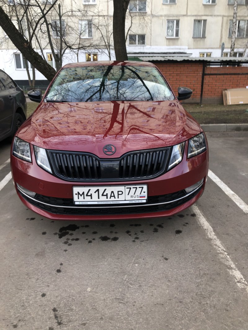Skoda Octavia Вишневая