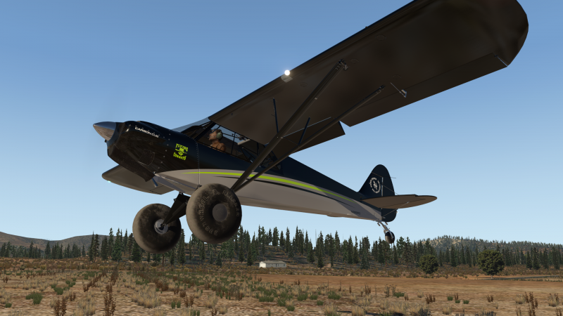 Carbon Cub ex