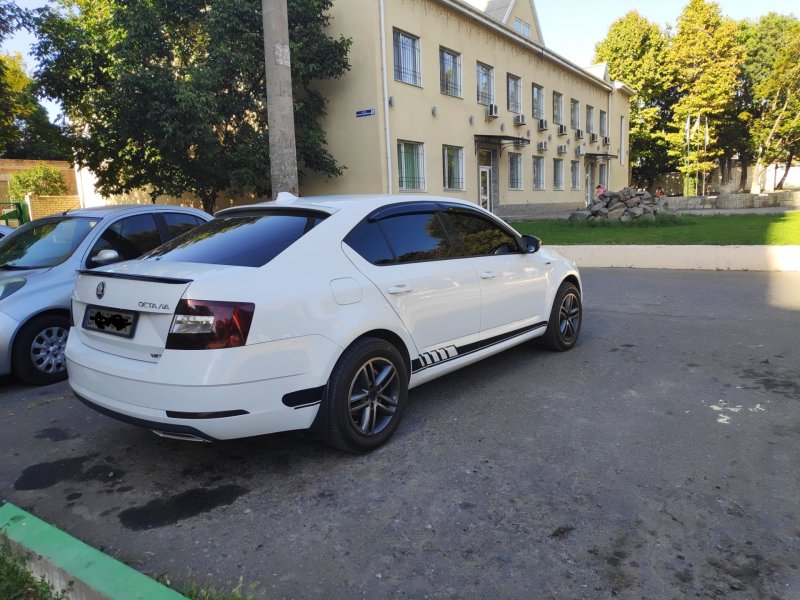 Октавия а 7 дагтейл