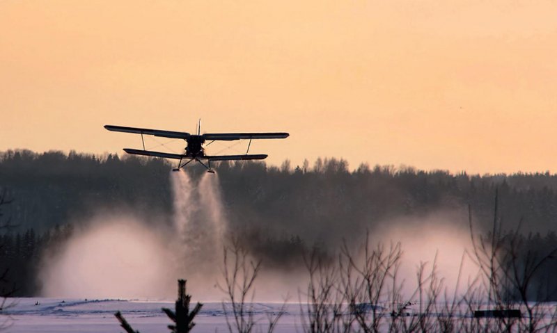 АН 2 зимой
