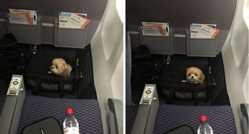 Ту 154 грузовой отсек