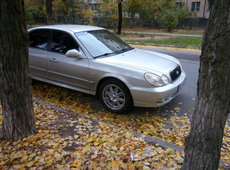 Sonata EF 215 55 17