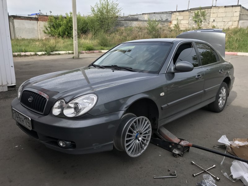 Соната 2005 на р18