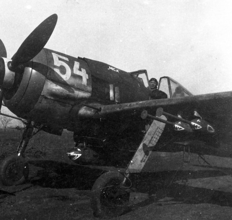 Фокке-Вульф FW-190 F-8)
