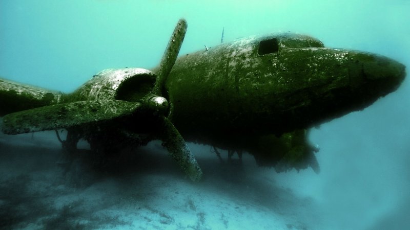 Морж на подводной лодке