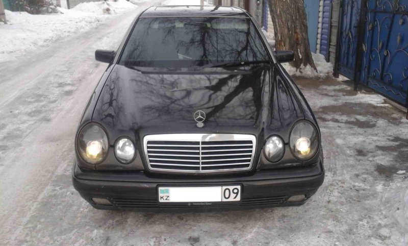 210 Мерс лупарик