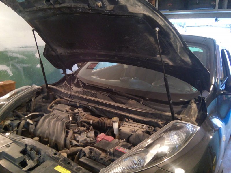 Упоры капота газовые Nissan Juke