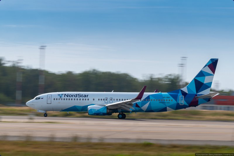 Airbus a319 птица ливрея