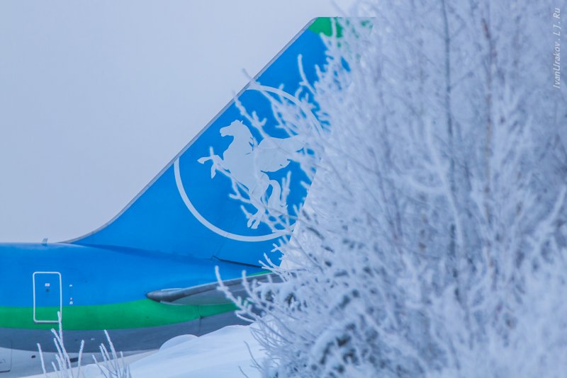 Pegas Fly Airbus