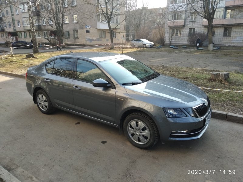 Октавия 2021 серая