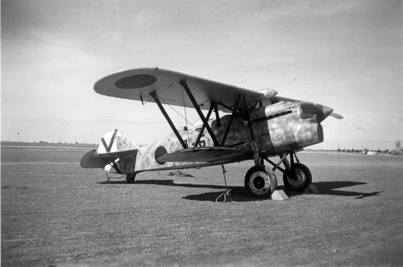 Fiat g50