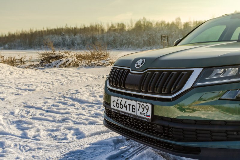 Skoda Kodiaq зеленый