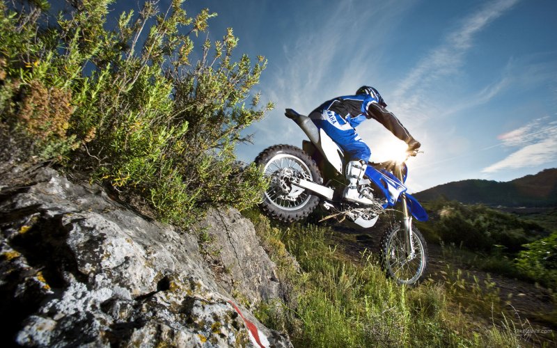 Yamaha wr250f