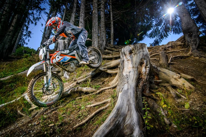Freeride e-XC 2020