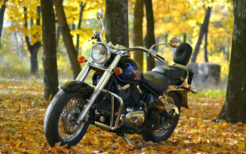 Kawasaki Vulcan