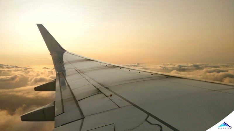 Крыло самолёта Boeing 777