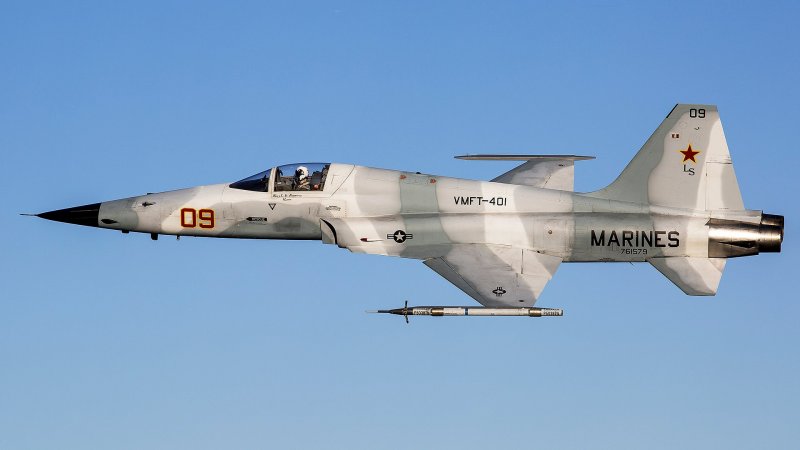 Northrop f-5 Freedom Fighter/Tiger II