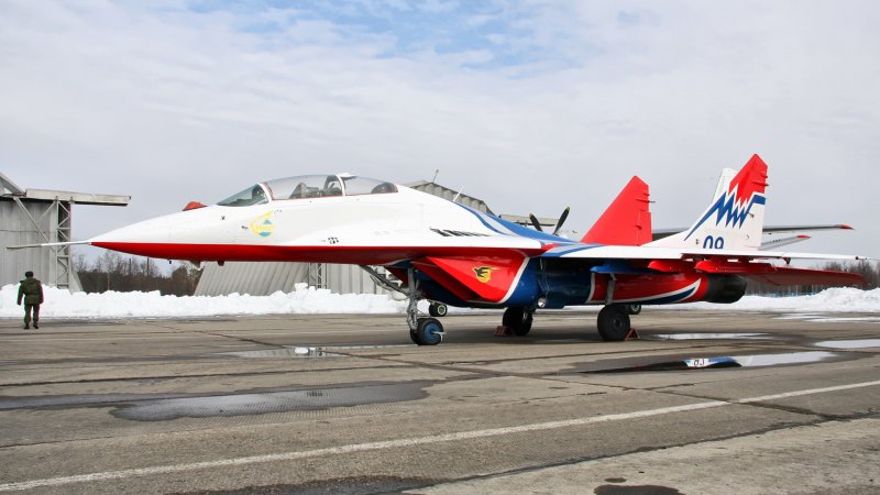 Ми 29 Стрижи