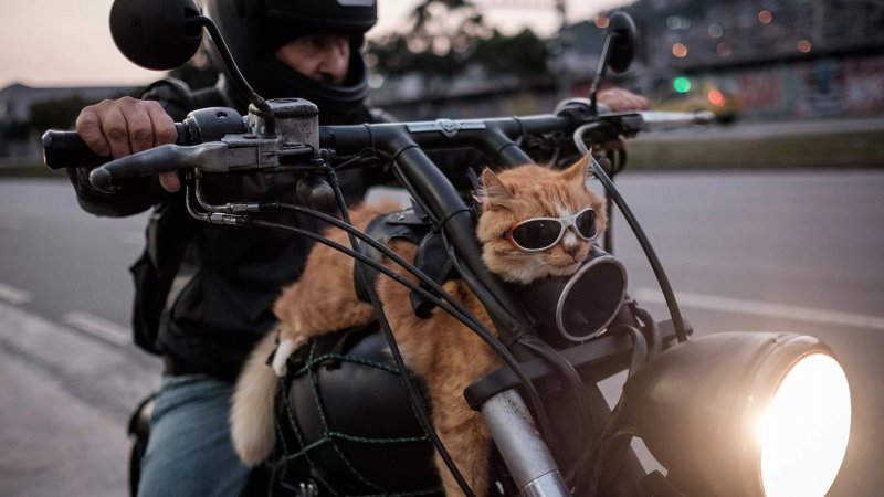 Мотоцикл с оружием