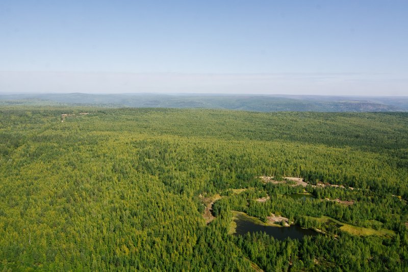 Заказник Туколонь