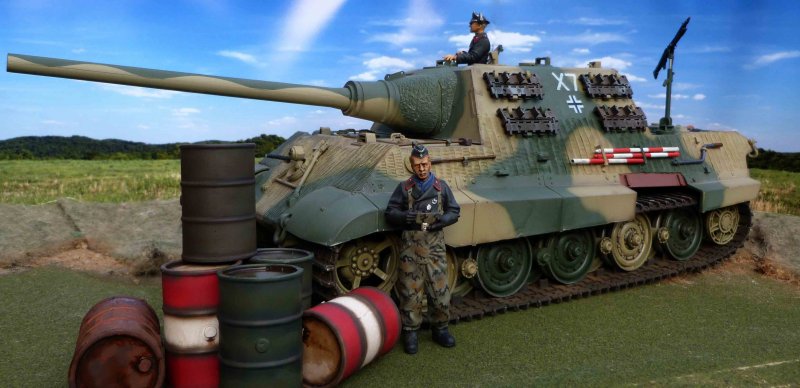 E 75 Bison