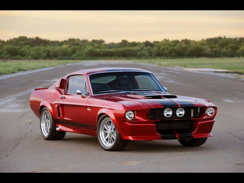 Ford Shelby gt500
