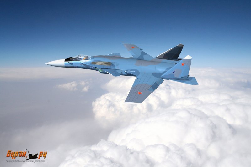 Самолёт Су-27 Беркут