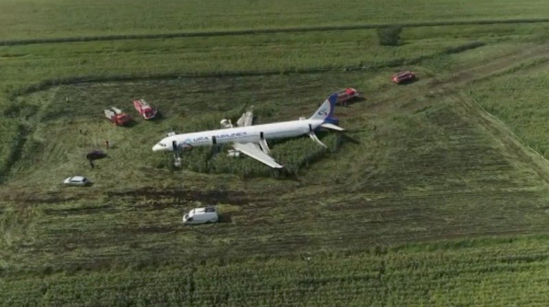 США Лос Анджелес люди