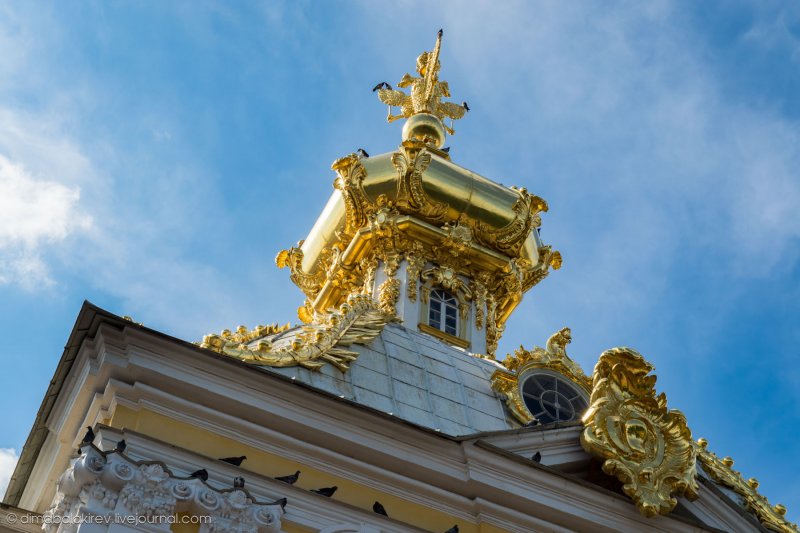 Музей Петергоф в Санкт-Петербурге