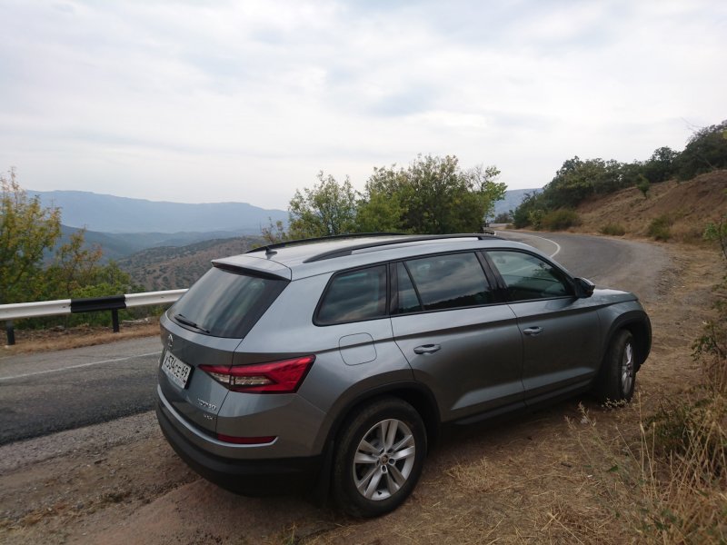 Skoda Kodiaq 2021 серый