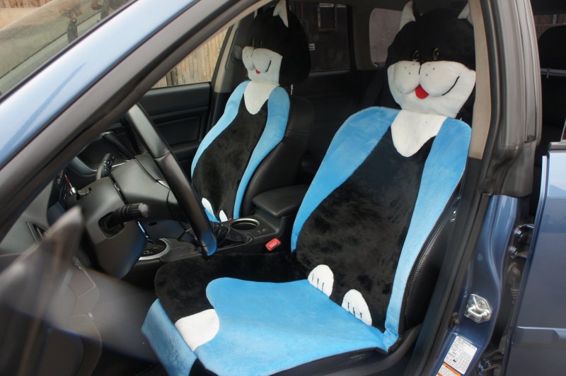 Необычные Авточехлы