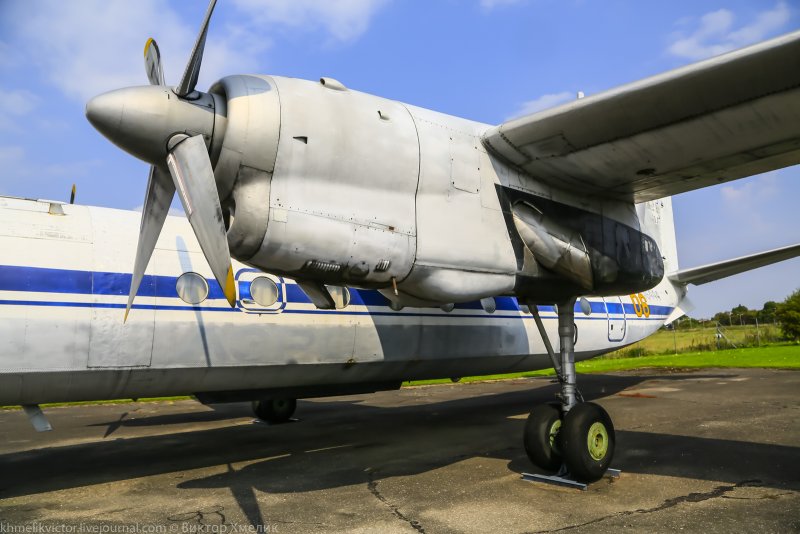 Самолет АН 24 Псковавиа
