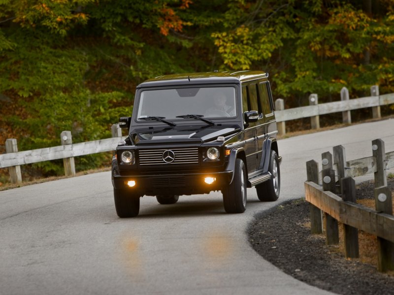Mercedes-Benz g-class 463