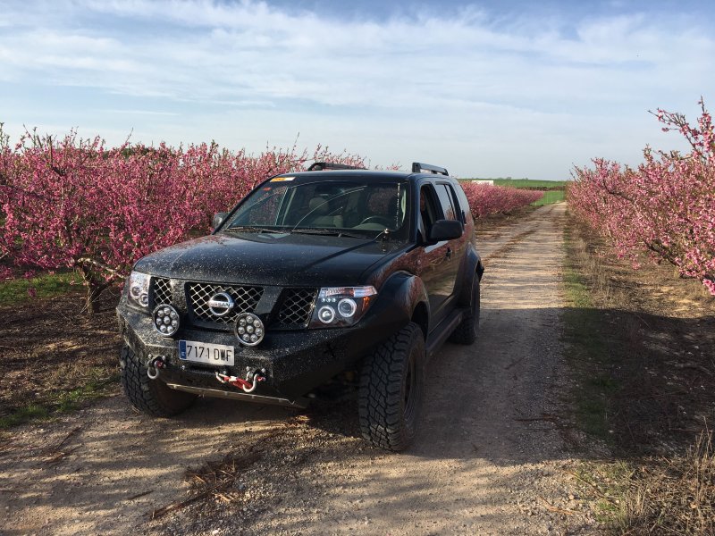 Nissan Pathfinder III Offroad