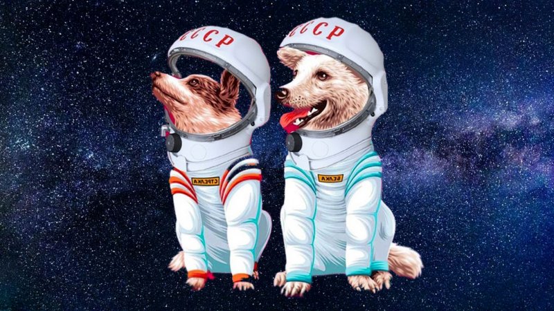 Белка и стрелка полёт в космос 1958