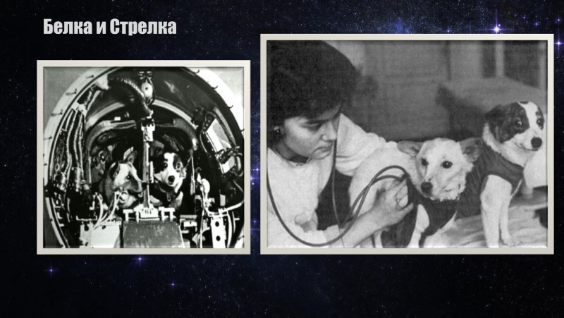 Ван Клиберн с белкой и стрелкой