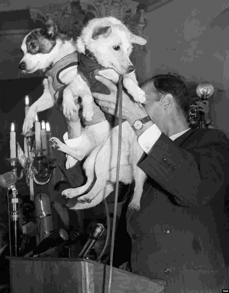 Белка и стрелка полёт в космос 1958