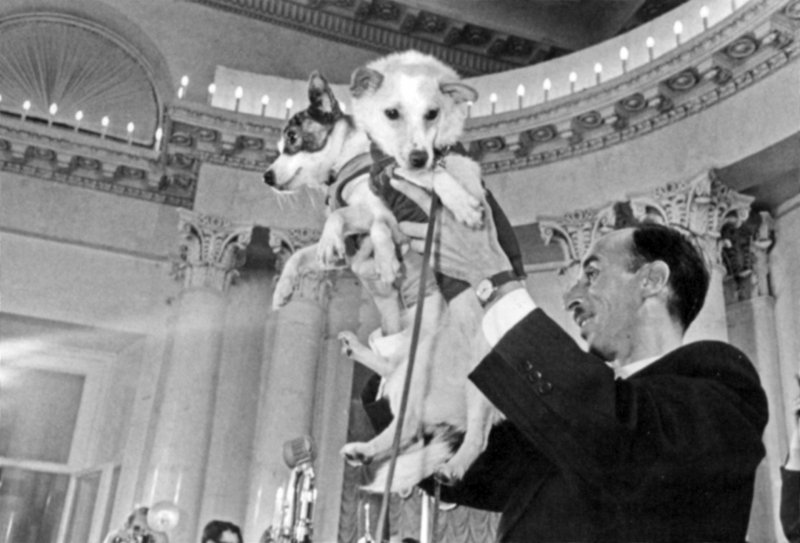 Белка и стрелка полёт в космос 1958