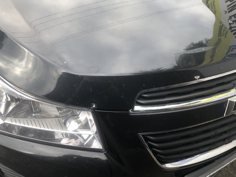 Qashqai 2012 мухобойка