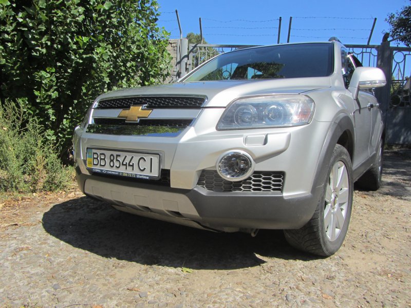 Морда Каптивы