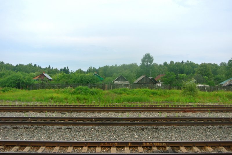 Поезд Эстетика