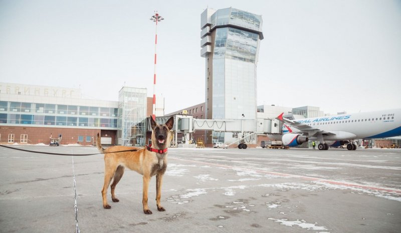 Мост в Элисте